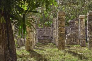 colonne maya e vegetazione tropicale foto