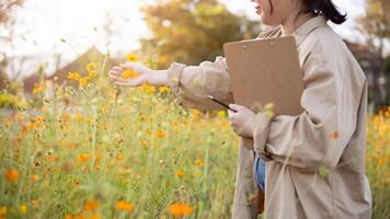 un' ritagliata tiro di un' giovane asiatico femmina fiore azienda agricola proprietario o agronomo Lavorando nel un' fiore azienda agricola. foto