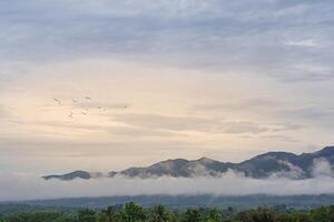 panoramico Visualizza di montagne. natura fotografia. pieno telaio con spazio per testo foto