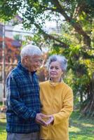 anziano coppie fabbricazione un' cuore forma con loro mani mentre in piedi nel il giardino. San Valentino giorno. concetto di anziano persone e assistenza sanitaria foto