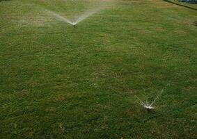 automatico spruzzatore sistema irrigazione il prato su un' sfondo di verde erba, avvicinamento foto