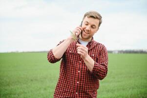 contadino detiene un' raccogliere di il suolo e giovane verde Grano germogli nel il suo mani controllo il qualità di il nuovo Ritaglia. agronomo analisi il progresso di il nuovo semina crescita. agricoltura Salute concetto foto