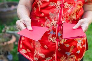 avvicinamento di mani anziano donna Tenere rosso buste. tradizionale cheongsam qipao vestire. foto