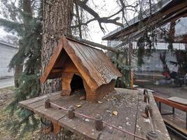 Casa nel il foresta per animali e uccelli. di legno uccello Casa nel il estate parco. su un albero ceppo. vecchio di legno alimentatore per uccelli su un' albero, vuoto uccelli alimentatore cura di selvaggio uccelli nel freddo stagione. foto