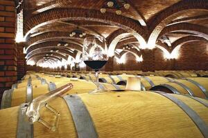 botti e bottiglie di vino nel un' azienda vinicola cantina nel meridionale brasile foto