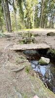 un' piccolo di legno ponte al di sopra di un' piccolo montagna fiume. escursioni a piedi pista foto