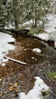 primavera fusione acqua flussi giù il montagna pendenza nel il primavera snow-capped jizzara montagne nel Polonia foto