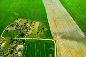 superiore Visualizza di un' seminato verde campo e un' piccolo villaggio nel bielorussia. agricolo i campi nel il villaggio.primavera semina nel un' piccolo villaggio foto