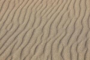 struttura di sabbia livellato di il vento 9 foto