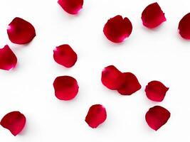 sparpagliato rosso rosa petali isolato su bianca sfondo. piatto posizione, superiore Visualizza. romantico concetto per design e decorazione. può essere Usato per romantico evento decorazioni, nozze inviti, saluto carte foto