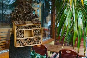 di legno Casa per insetti installato nel un' ciglio della strada bar su palma. foto