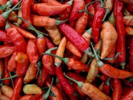 fresco rosso chili per vendita nel supermercato. superiore Visualizza mucchio di fresco chili e maturo rosso caldo chili per vendita nel il mercato. sfondo Immagine di fresco maturo speziato chili foto