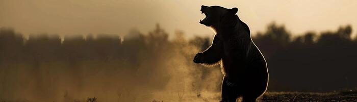 ruggente orso, un' silhouette di un' orso in piedi su suo posteriore gambe e ruggente foto