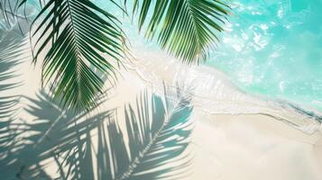 superiore Visualizza di tropicale foglia ombra su acqua superficie. ombra di palma le foglie su bianca sabbia spiaggia. foto