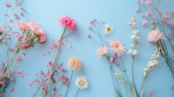 diverso morbido fiori su blu tavolo. foto