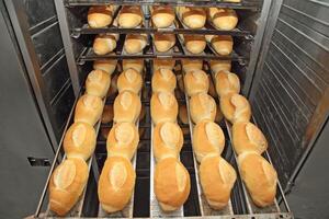delizioso francese pane In arrivo su di il forno foto