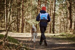 indietro Visualizza per in esecuzione siberiano rauco slitta cane nel imbracatura traino uomo su autunno foresta nazione strada foto