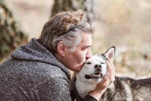 adulto uomo nel grigio felpa abbracci e baci siberiano rauco cane, vero amore di umano e animale domestico foto