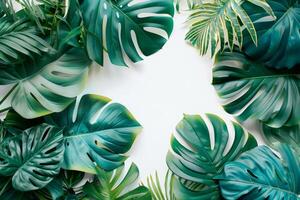 tropicale Monstera le foglie telaio con copyspace per eco concetti foto