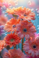 gerbera margherite con acqua goccioline e bokeh su pastello sfondo foto