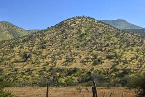 paesaggio di il interno di chile su il modo per portillo foto