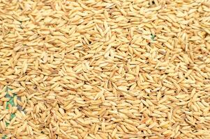 naturale riso cereali quello avere non ancora stato elaborato in cibo foto