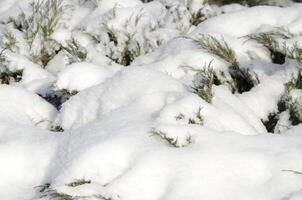 sotto neve paesaggio foto