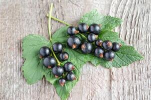 ribes nero vicino su foto