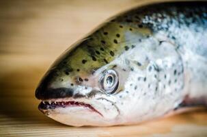 atlantico salmone totale pesce foto