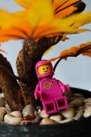 il rosa astronauta Lego personaggio è godendo autunno con un' sorridente espressione. foto