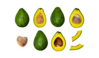 composizione di avocado per il design di sfondo. frutta tropicale disegnata in modelli per carta da parati foto