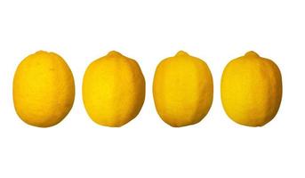composizione di limone per il design di sfondo. frutta tropicale in stile in modelli per carta da parati.