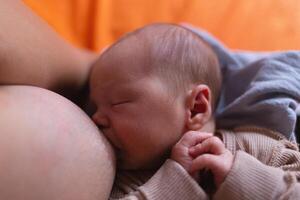 tranquillo, calmo contento mamma l'allattamento al seno bambino a casa. giovane nuovo madre Tenere e alimentazione neonato bambino latte a partire dal Seno. foto