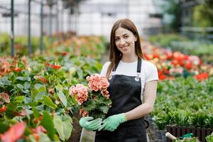 donna detiene un' pentola di fiori nel sua mani, in crescita impianti per saldi, pianta come un' regalo, fiori nel un' serra, in vaso pianta. foto