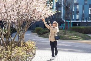 sakura rami con fiori su un' albero su il città strade. contento donna ragazza nel un' grigio tavolozza passeggiate lungo un vicolo con fioritura sakura. bellissima fantasia ragazza all'aperto. sakura albero fioritura. foto