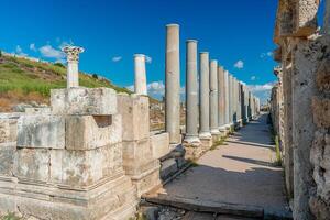 pittoresco rovine di il antico città di perge nel tacchino. perge Aperto aria Museo. foto