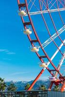 Visualizza di il Ferris ruota attrazione contro un' sfondo di blu cielo fra palma alberi. Ferris ruota nel il georgiano città di batumi. foto