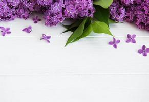 fiori lilla su un tavolo foto