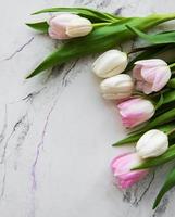 tulipani rosa primavera