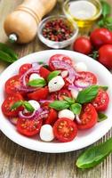 insalata caprese italiana foto