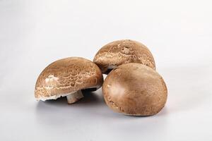 crudo Marrone champignon per cucinando foto