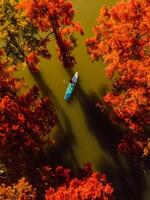 tassodio alberi nel autunno su In piedi su pagaia tavola a il lago. aereo Visualizza foto
