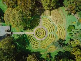 tropicale giardino nel bali. botanico parco nel Indonesia. aereo Visualizza foto