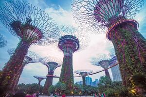 luci nel giardini di il baia nel Singapore. foto