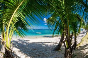 lusso spiaggia con Noce di cocco palme, sabbia e silenzioso oceano. tropicale bandiera foto