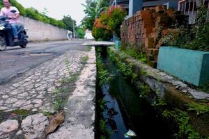 Visualizza di un' sporco strada nel un' villaggio con un' naturale concetto foto