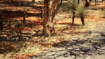 un' ondulato asfalto strada nel un' collinoso paesaggio foto