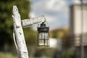 lanterna nel il giardino 3 foto