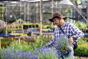 giovane asiatico giardiniere è la scelta fioritura pianta a partire dal il Locale giardino centro asilo pieno di estate pianta per fine settimana giardinaggio e all'aperto passatempo concetto foto