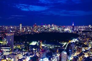 un' crepuscolo paesaggio urbano a il urbano città a Shinjuku direzione alto angolo foto